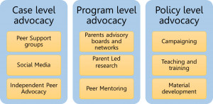 Illustration of the differences between case level advocacy, program level advocacy, and policy level advocacy.
